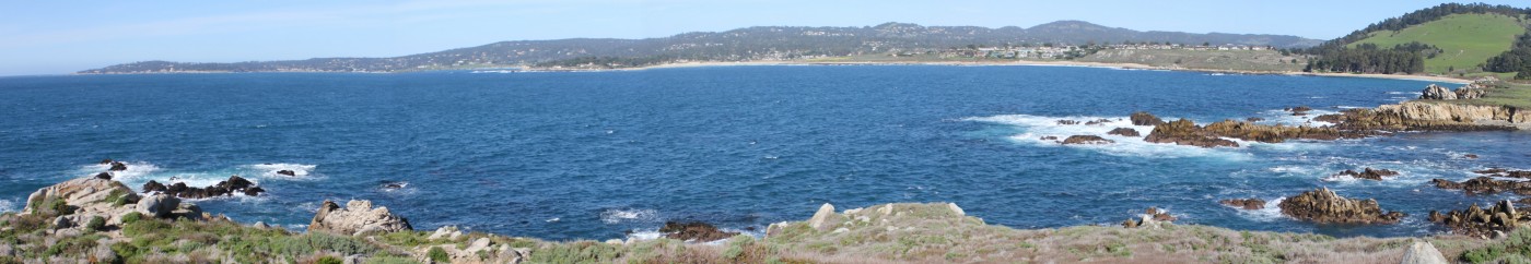 Driftwood Engineering